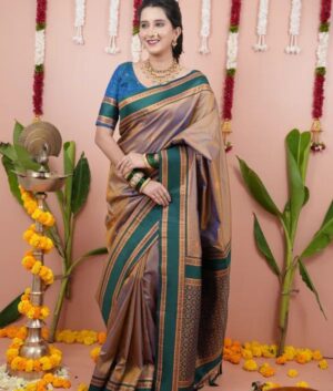 Home – The Fabrizo Saree Banarasi Silk Paithni Saree